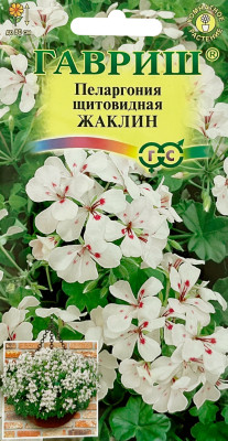 Пеларгония Жаклин ампельная 3шт