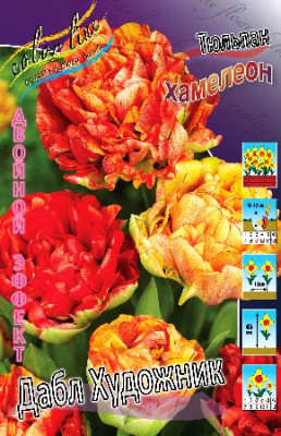 Тюльпан Художник Дабл (1шт) 128418