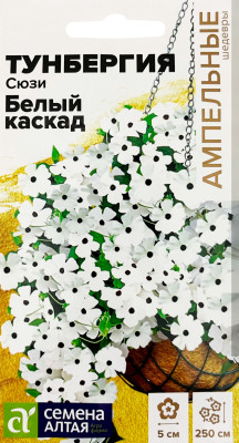Тунбергия крылатая Сюзи Белый каскад 4шт
