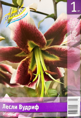 Лилия Лесли Вудриф (1шт)