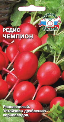 Редис Чемпион б/п