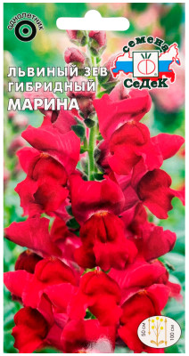 Львиный зев Марина F1 (высокий, малиновый)