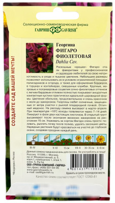 Георгина Фигаро фиолетовая 7шт негранул.