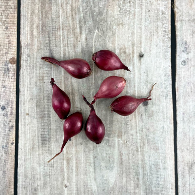 лук Севок Кармен 15-22 Чувашия