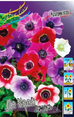 Анемона Де Каен, смесь (15шт) 2955