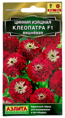 Цинния изящная клеопатра ВИШНЁВАЯ АЭЛИТА Цинния изящная клеопатра ВИШНЁВАЯ АЭЛИТА