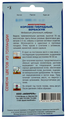 Коровяк гибридный АКВАРЕЛЬ описание