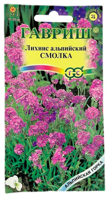 Лихнис альпийский СМОЛКА ГАВРИШ