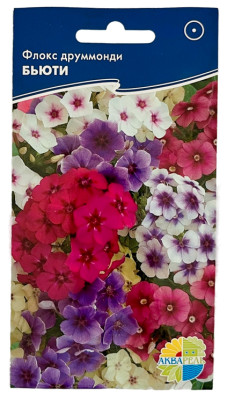 Флокс друммонди БЬЮТИ АКВАРЕЛЬ