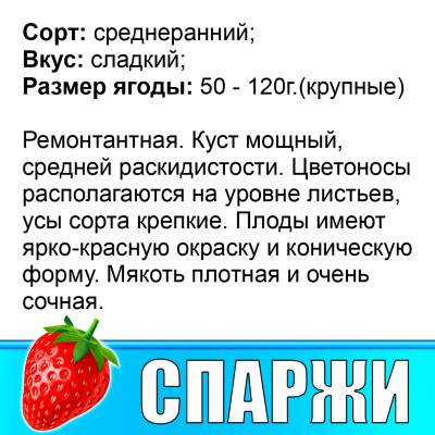 Земляника (Клубника) Спаржи в стаканчике