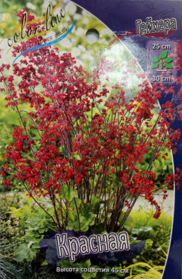 Гейхера Красная (1шт) Р-027