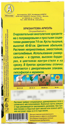 Хризантема АРИЭЛЬ АЭЛИТА описание