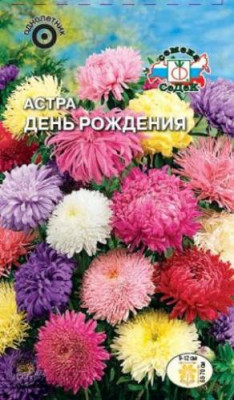 Астра День Рождения (смесь)