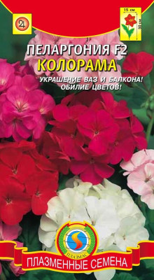 Пеларгония Герань Колорама смесь 5 шт +