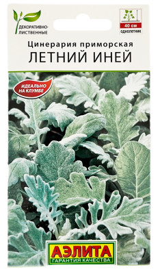 Цинерария приморская летний ИНЕЙ АЭЛИТА