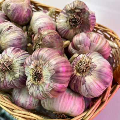 Чеснок головка Добрыня озимый (калибр 5) 1кг