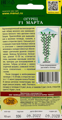 Огурец Марта F1