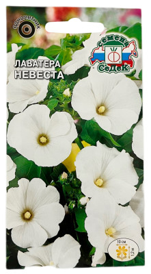 Лаватера НЕВЕСТА СеДеК