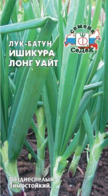 Лук батун Ишикура Лонг Уайт 