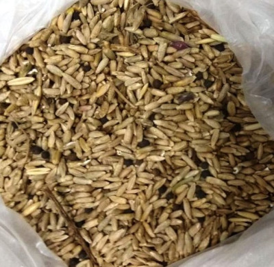 Сидерат зеленое удобрение Вика овес 1кг