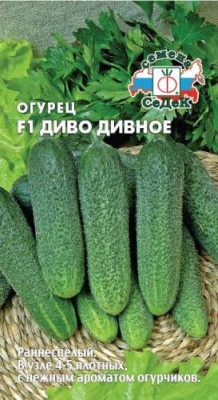 Огурец Диво Дивное F1