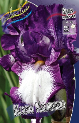 Ирис Германский Кози Калико (1шт) 4584