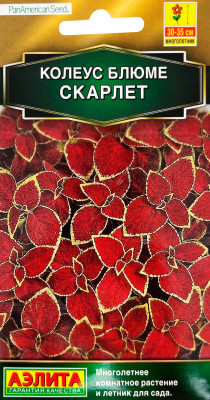 Колеус блюме Скарлет 10шт