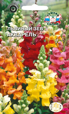 Львиный зев высокий Акварель (смесь)