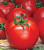 Томат Джина 15шт