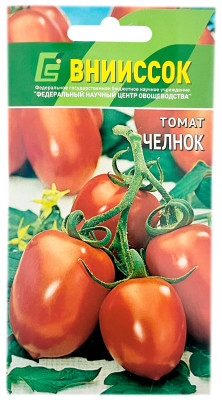 Томат ЧЕЛНОК ВНИИССОК