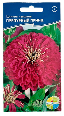 Цинния изящная ПУРПУРНЫЙ ПРИНЦ АКВАРЕЛЬ