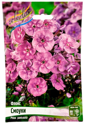Флокс Смоуки