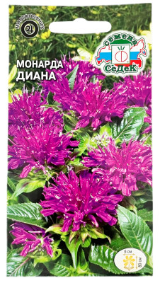 Монарда лимонная ДИАНА СеДеК