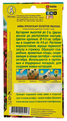 Айва японская золотое яблоко АЭЛИТА описание