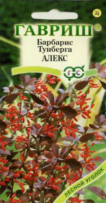 Барбарис Тунберга Алекс 0,2 г Н10