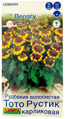 Рудбекия волосистая ТОТО РУСТИК КАРЛИКОВАЯ АЭЛИТА