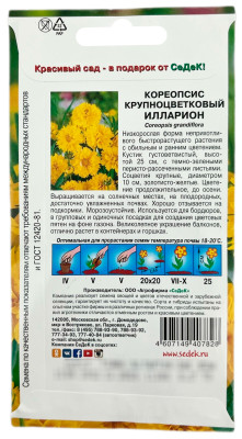 Кореопсис Илларион крупноцветковый