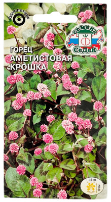 Горец головчатый АМЕТИСТОВАЯ КРОШКА СеДеК