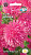 Астра Иринка (игольчатая, ярко-розовая)
