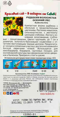 Рудбекия Осенний лес (волосистая, золотисто-бронзовая)