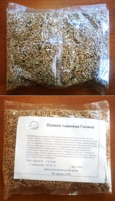 Пшеница Галина озимая 0,5 кг