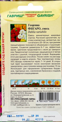 Георгина Фигаро 7шт