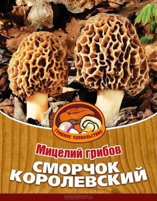 Грибы Сморчок королевский