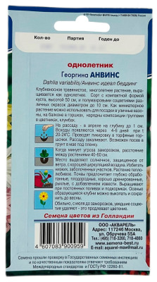 Георгина АНВИНС описание