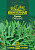 Двурядник тонколистный (Рукола дикая) Пасьянс, серия Юбилейный 1,0 г (большой пакет)