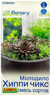 Молодило ХИППИ ЧИКС смесь сортов АЭЛИТА