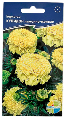 Бархатцы КУПИДОН лимонно-желтые АКВАРЕЛЬ