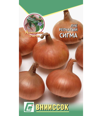 Лук репчатый Сигма