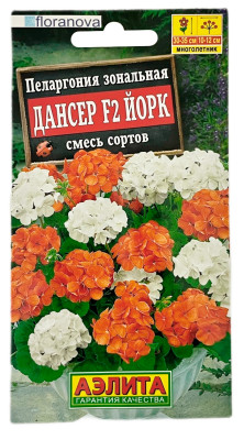 Пеларгония зональная дансер F2 ЙОРК СМЕСЬ СОРТОВ АЭЛИТА Пеларгония зональная дансер F2 ЙОРК СМЕСЬ СОРТОВ АЭЛИТА