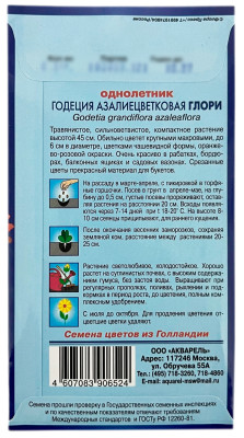 Годеция ГЛОРИ АКВАРЕЛЬ описание